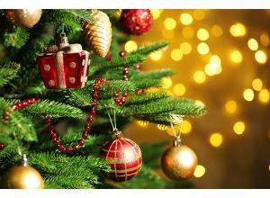 Důležité informace o provozu během svátků: